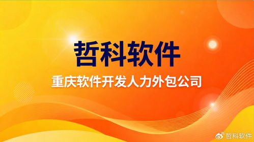 重庆软件开发人力外包服务新选择 揭秘行业顶尖合作伙伴