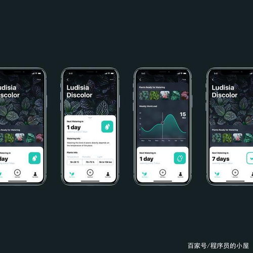 如何甄选与委托 寻找靠谱软件外包公司的全面指南